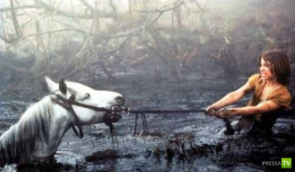 ����������. �������� ���������� (30 ����)