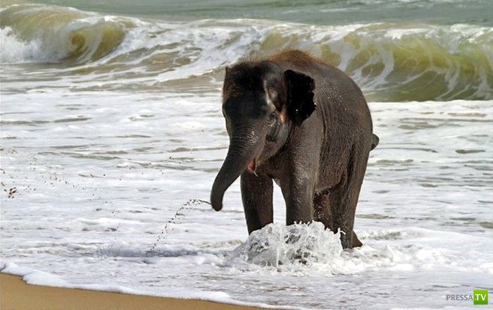 �������� ������ �� ����� (7 ����)