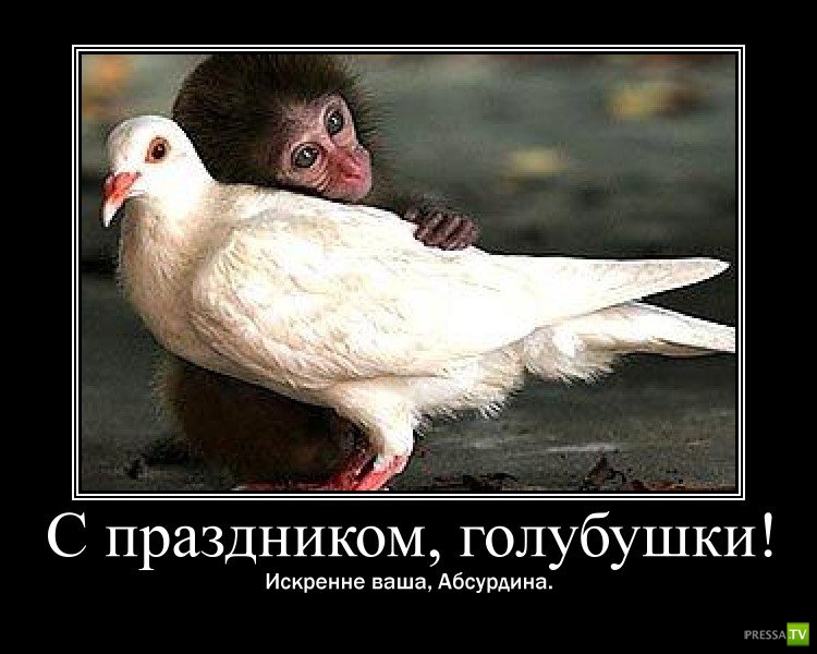 ������������ � 8 �����