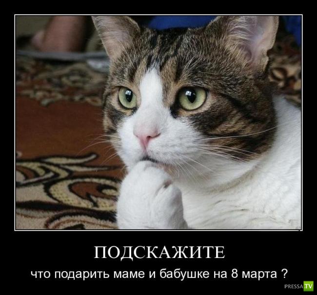 ������������ � 8 �����