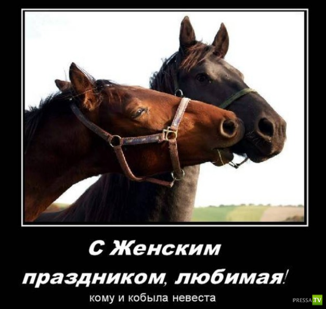 ������������ � 8 �����