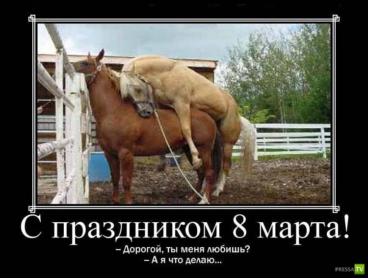 ������������ � 8 �����