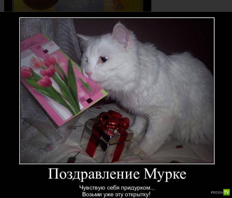 ������������ � 8 �����