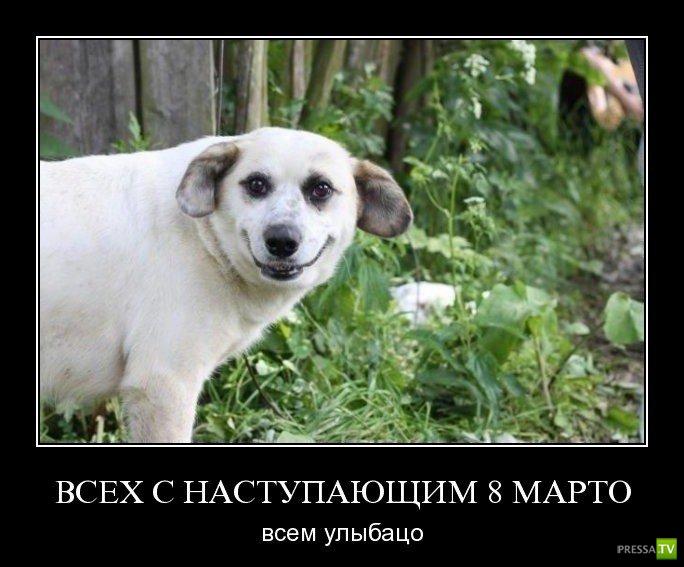 ������������ � 8 �����