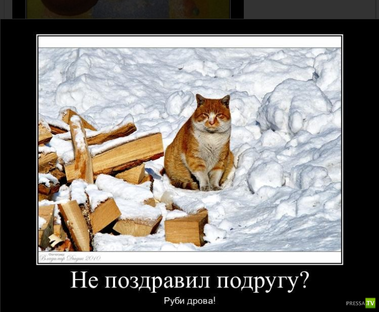 ������������ � 8 �����