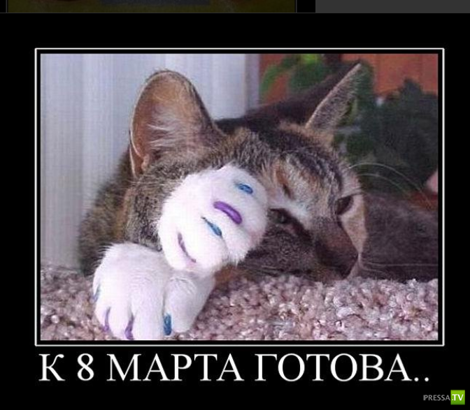 ������������ � 8 �����