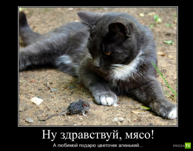 ������������ � 8 �����