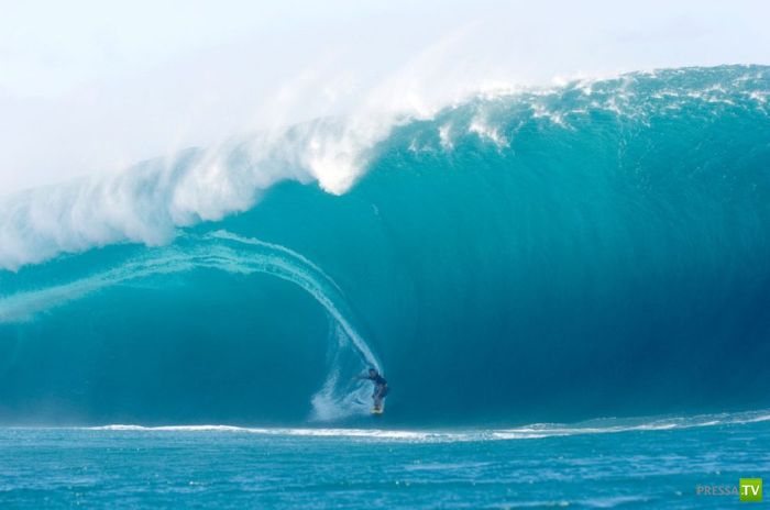 ������� �� ���������� ������ (23 ����)