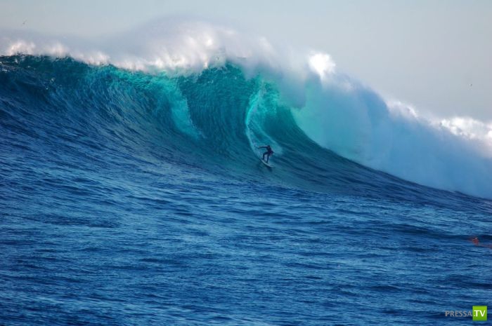 ������� �� ���������� ������ (23 ����)