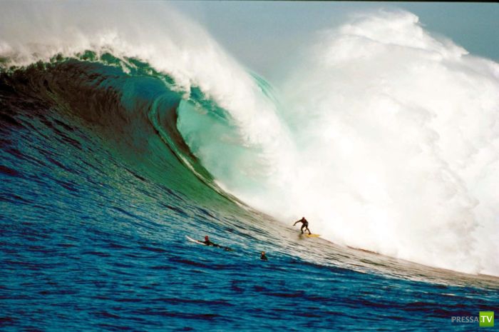 ������� �� ���������� ������ (23 ����)