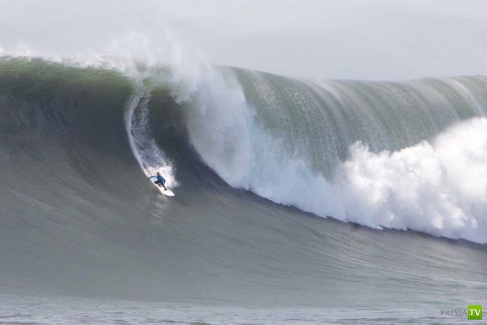 ������� �� ���������� ������ (23 ����)