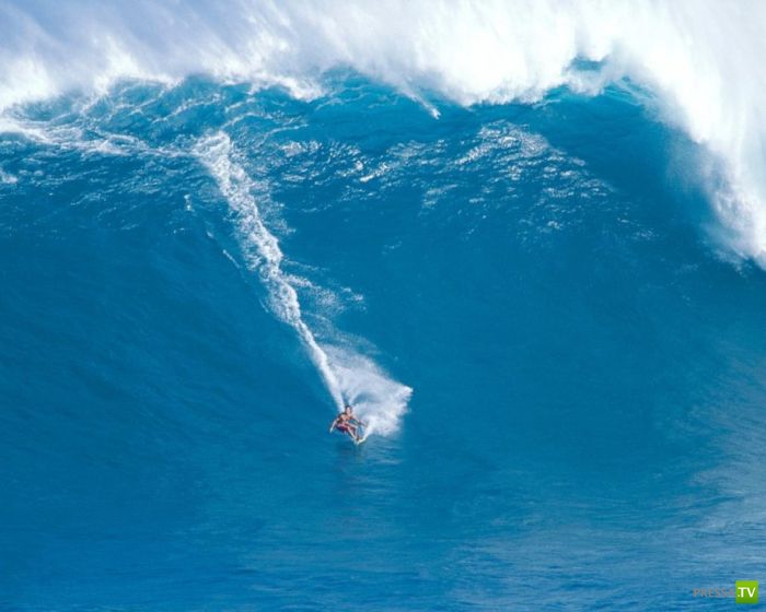 ������� �� ���������� ������ (23 ����)