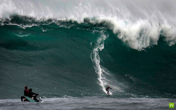 ������� �� ���������� ������ (23 ����)