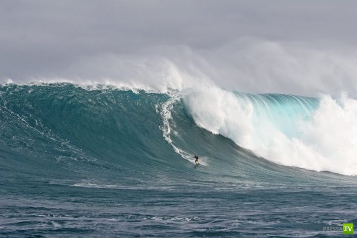 ������� �� ���������� ������ (23 ����)