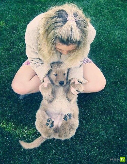 ������� ��������. ������ ���� �� �����!!! (35 ����)