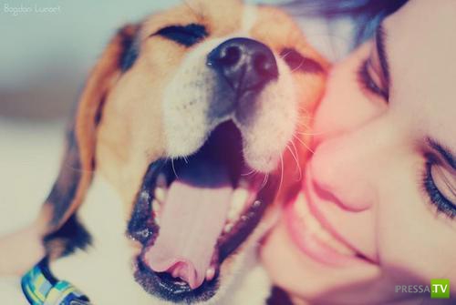 ������� ��������. ������ ���� �� �����!!! (35 ����)