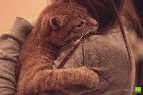 ������� ��������. ������ ���� �� �����!!! (35 ����)