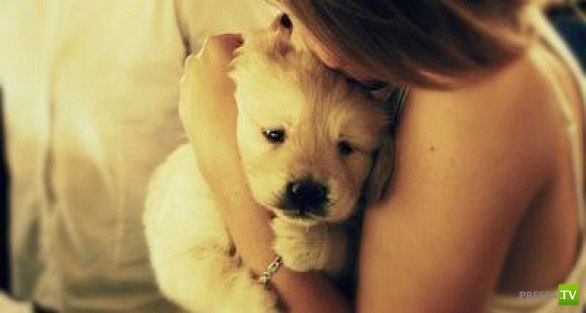 ������� ��������. ������ ���� �� �����!!! (35 ����)