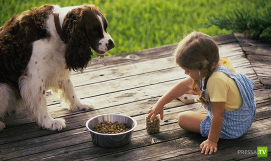 ������� ��������. ������ ���� �� �����!!! (35 ����)