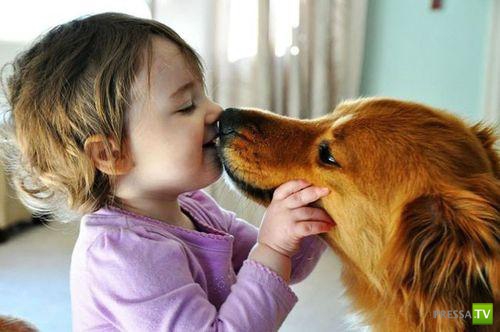 ������� ��������. ������ ���� �� �����!!! (35 ����)