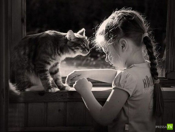 ������� ��������. ������ ���� �� �����!!! (35 ����)