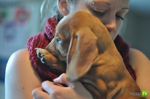 ������� ��������. ������ ���� �� �����!!! (35 ����)