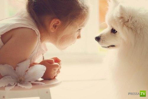 ������� ��������. ������ ���� �� �����!!! (35 ����)