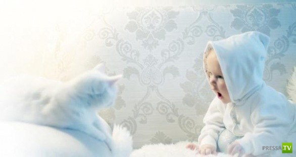 ������� ��������. ������ ���� �� �����!!! (35 ����)