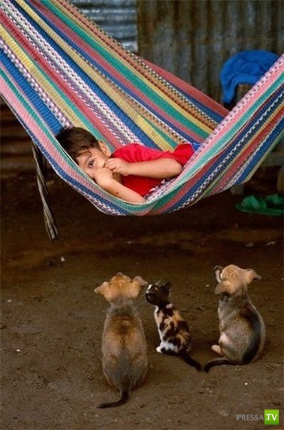 ������� ��������. ������ ���� �� �����!!! (35 ����)