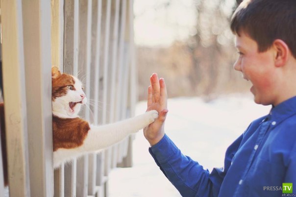 ������� ��������. ������ ���� �� �����!!! (35 ����)