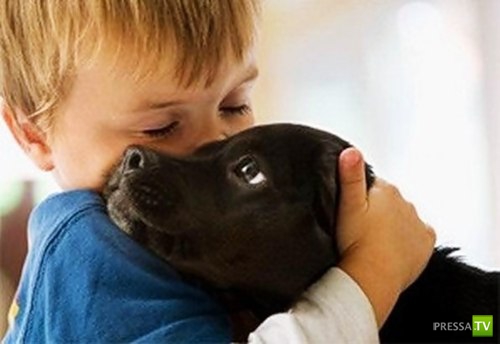 ������� ��������. ������ ���� �� �����!!! (35 ����)