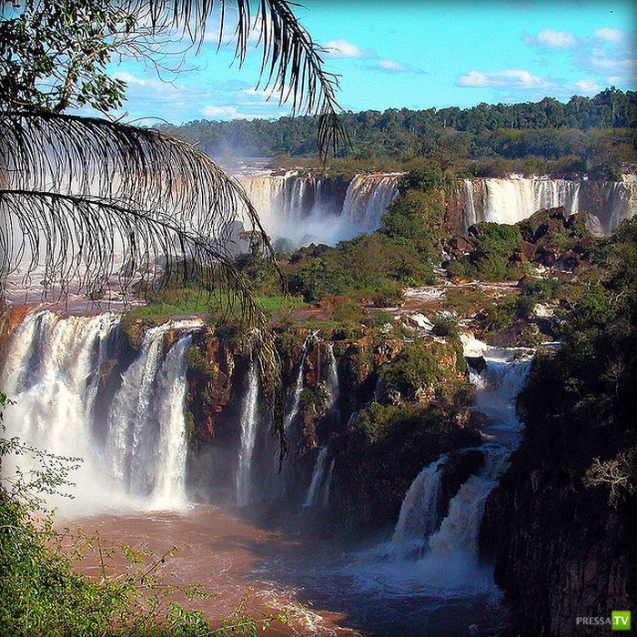 ������������ �������� ������ (15 ����)