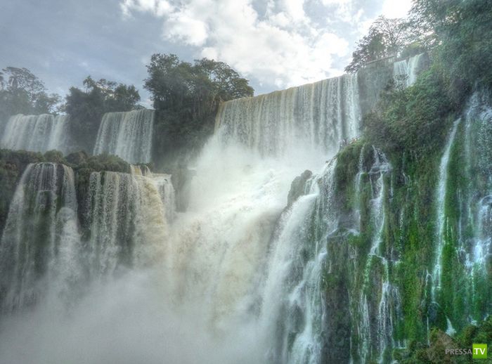 ������������ �������� ������ (15 ����)