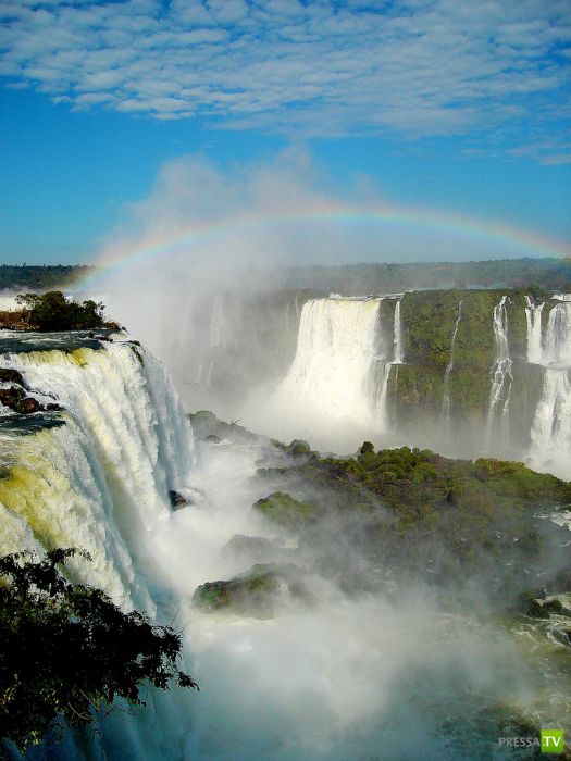 ������������ �������� ������ (15 ����)