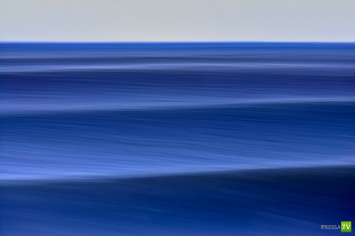 ����� ������� ������ ������ (43 ����)