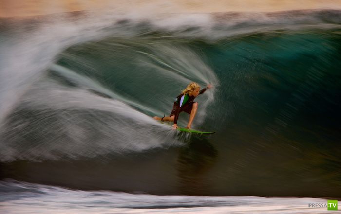 ����� ������� ������ ������ (43 ����)