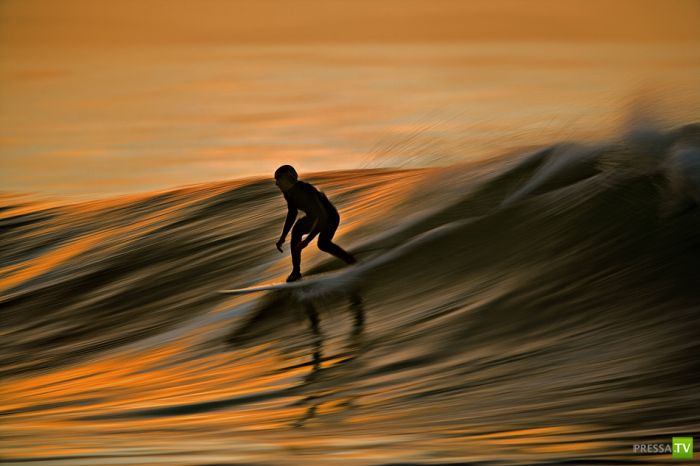 ����� ������� ������ ������ (43 ����)