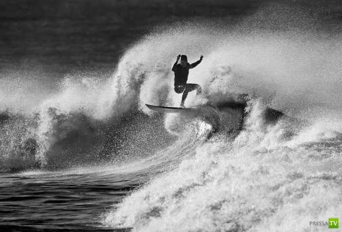 ����� ������� ������ ������ (43 ����)