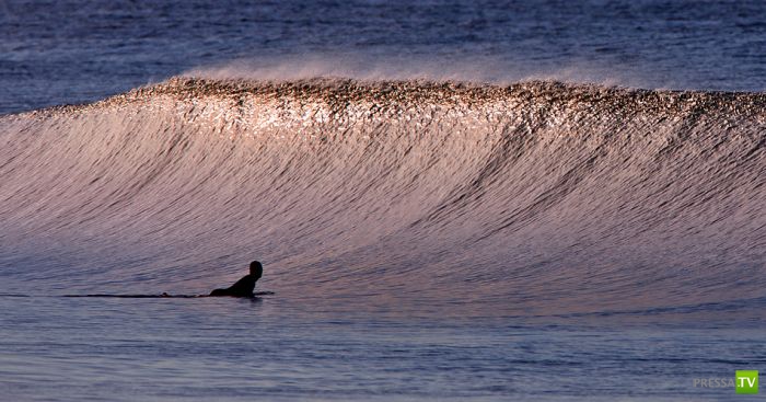 ����� ������� ������ ������ (43 ����)