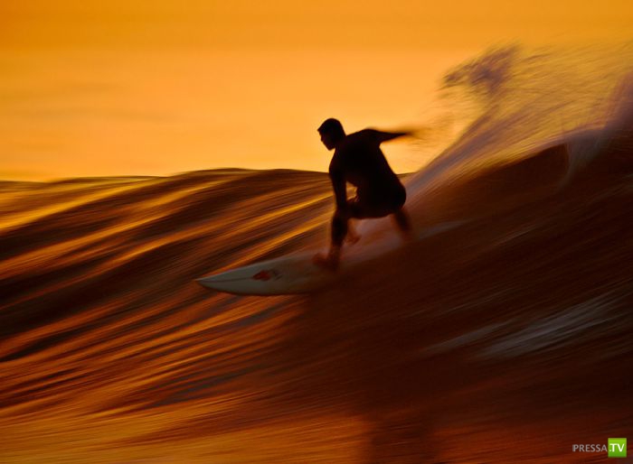 ����� ������� ������ ������ (43 ����)