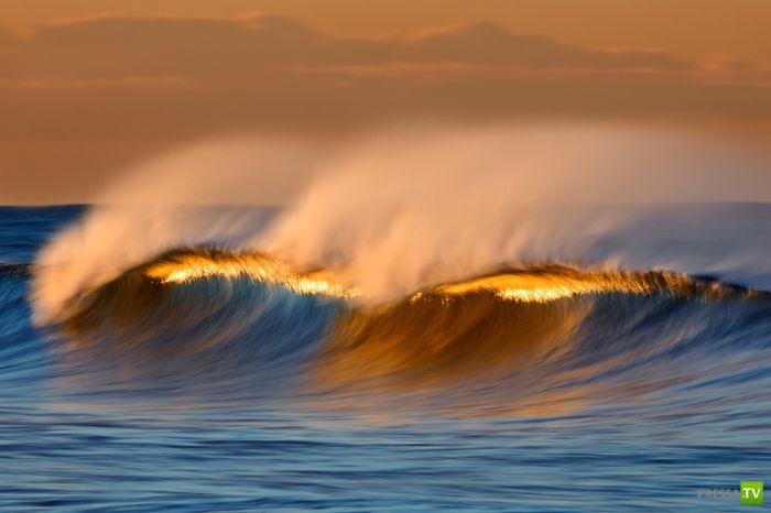 ����� ������� ������ ������ (43 ����)