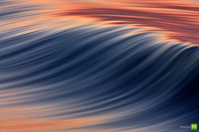 ����� ������� ������ ������ (43 ����)