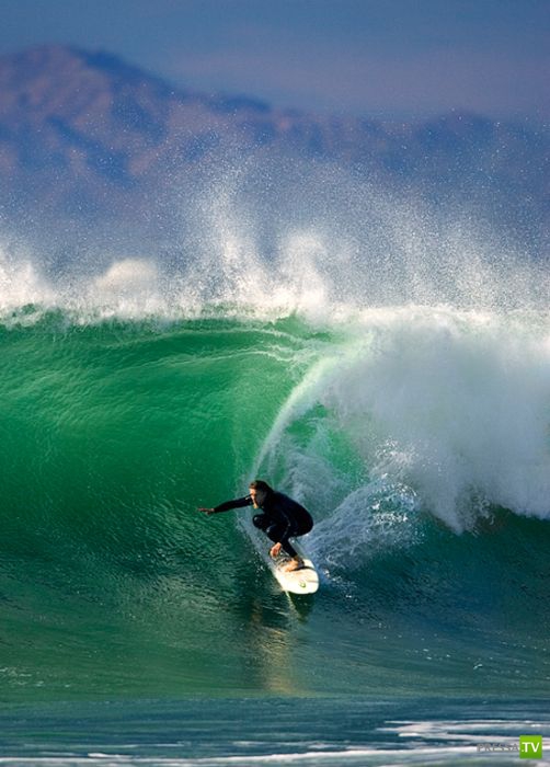 ����� ������� ������ ������ (43 ����)