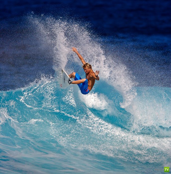 ����� ������� ������ ������ (43 ����)