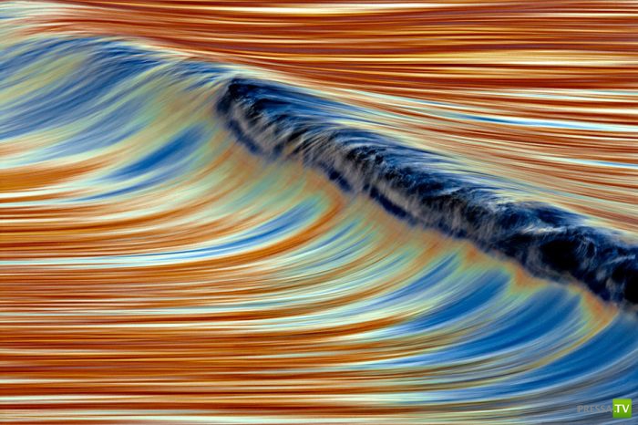 ����� ������� ������ ������ (43 ����)