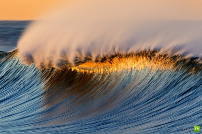 ����� ������� ������ ������ (43 ����)