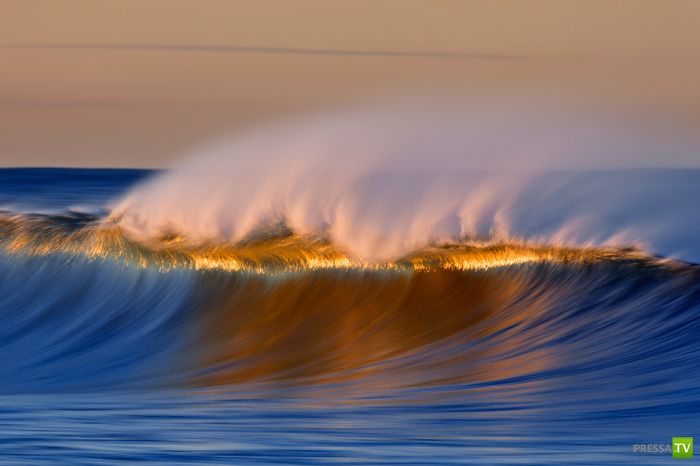 ����� ������� ������ ������ (43 ����)