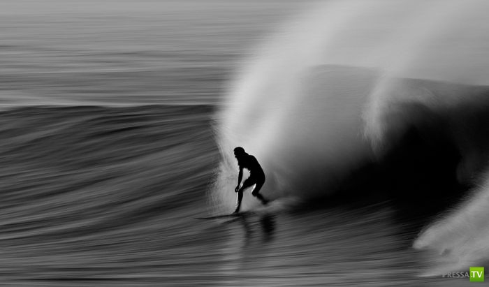 ����� ������� ������ ������ (43 ����)