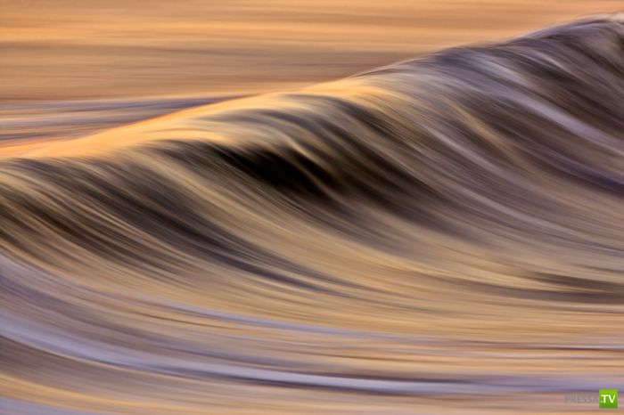 ����� ������� ������ ������ (43 ����)