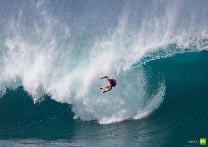 ����� ������� ������ ������ (43 ����)